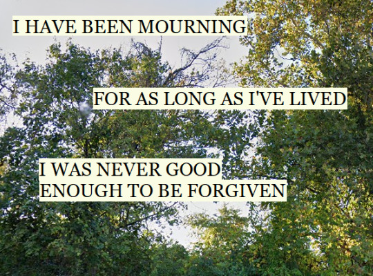 I have been mourning for as long as I've lived. I was never good enough to be forgiven.